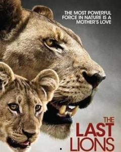 最后的狮子