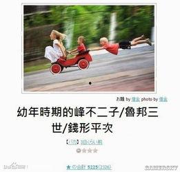 喜闻乐见,探寻喜闻乐见的文化盛宴