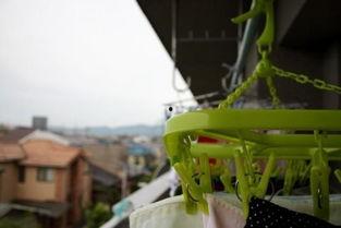 家庭主妇的身体秘密,揭秘家庭主妇的五大身体秘密