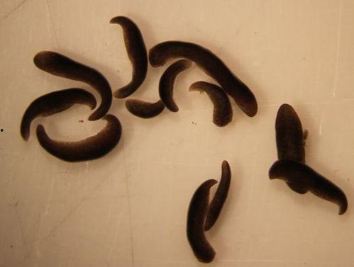 头或尾？,从尾部洞察趋势