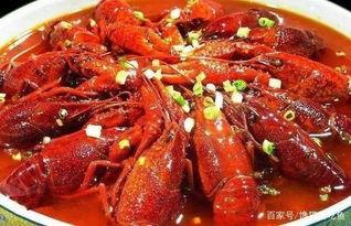 龙虾的呐喊,揭秘海洋生物的生存智慧